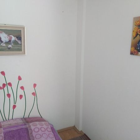 Hostel Trajan Donji Milanovac Zewnętrze zdjęcie