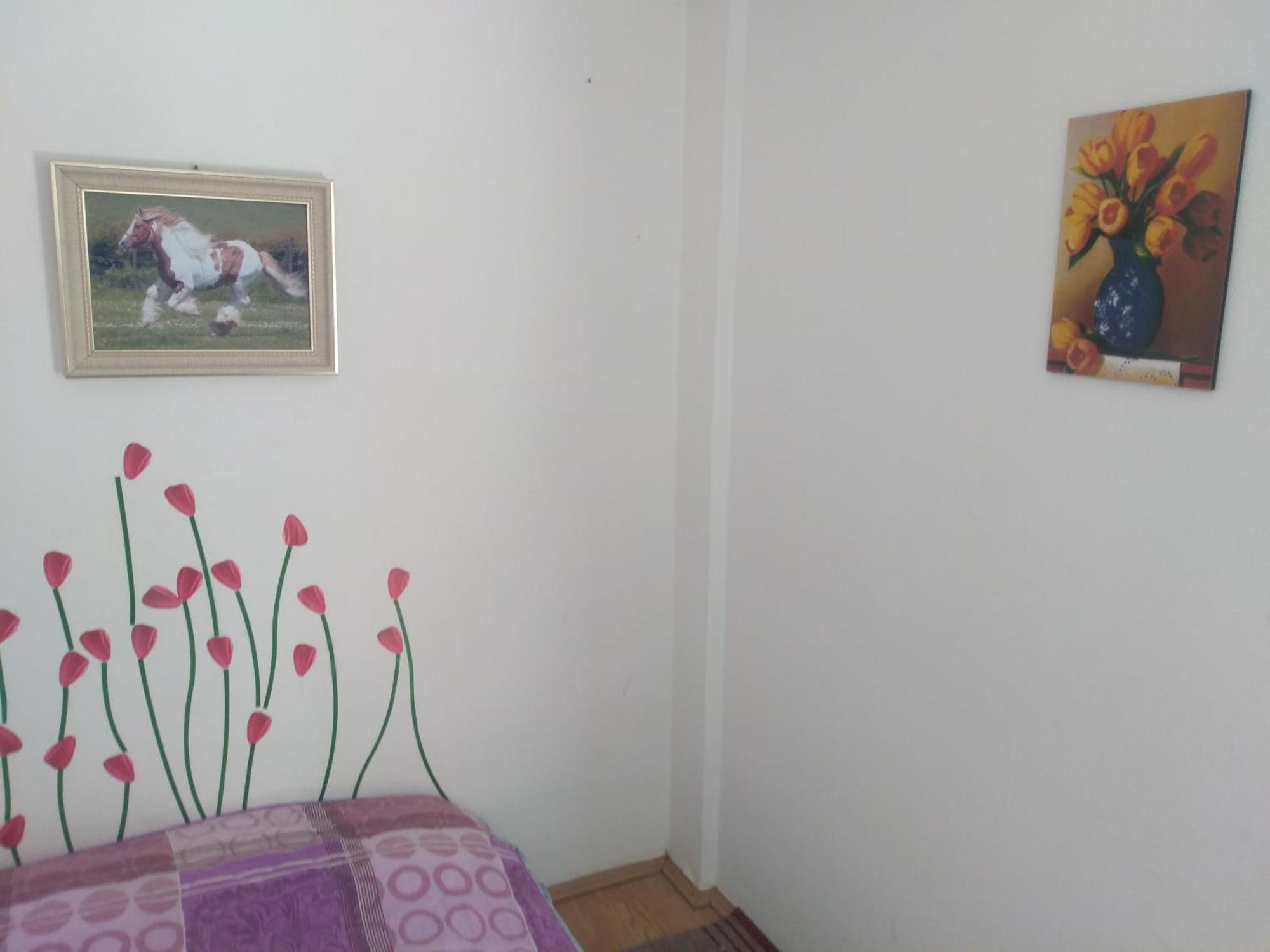 Hostel Trajan Donji Milanovac Zewnętrze zdjęcie