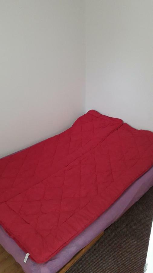 Hostel Trajan Donji Milanovac Zewnętrze zdjęcie